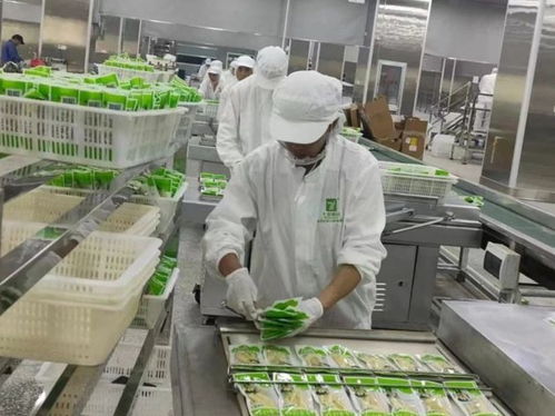 云南永善七彩食品投產(chǎn)運(yùn)營(yíng)獲《中國食品安全報(bào)》關(guān)注 食品安全與特色經(jīng)營(yíng)的雙贏之路