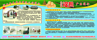 金豐食品圖片 解析食品經(jīng)營(yíng)中的視覺營(yíng)銷與合規(guī)管理