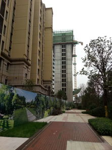 金輝上東區(qū)·金輝公園里項(xiàng)目房屋質(zhì)量問題亟待解決